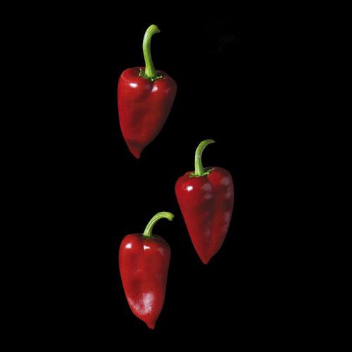 Subcategoria-Slide-Fotos-Conserves-vegetals2