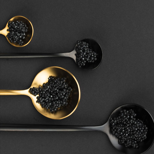 Subcategoria-Slide-Fotos-PeixMarisc-Caviar4