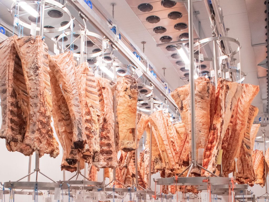 càmeres per a la maduració de la carn